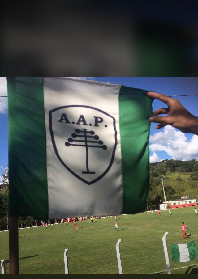 aa_pinheiros_3.jpg