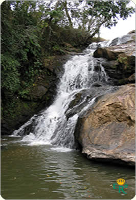 cachoeira_engenho.jpg